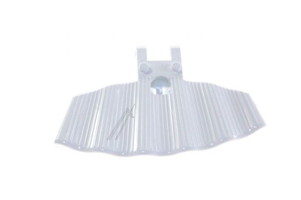 nevtelen19_1829242161